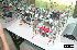 Singapore Robotic Games 2000