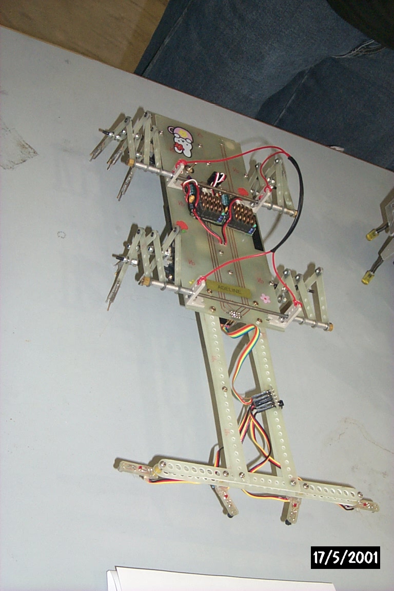 Singapore Robotic Games, 15-17 May 2001, Singapore Science Center