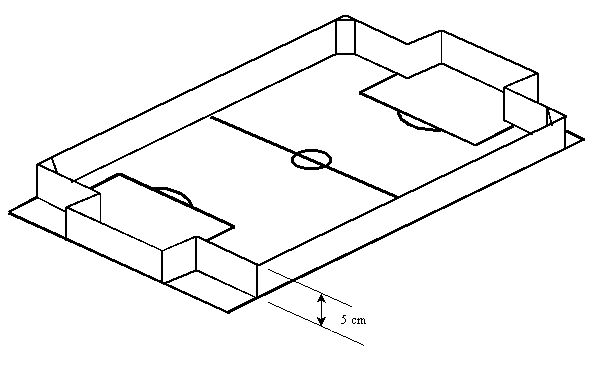 Mirosot2.jpg (27514 bytes)