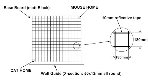 catnm1.jpg (31084 bytes)