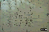 Singapore Robotic Games 2000