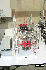 Singapore Robotic Games 2000