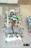 Singapore Robotic Games 2000