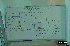 Singapore Robotic Games 2000